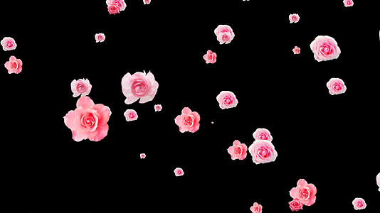 粉色花朵飘落元素带透明通道视频的预览图