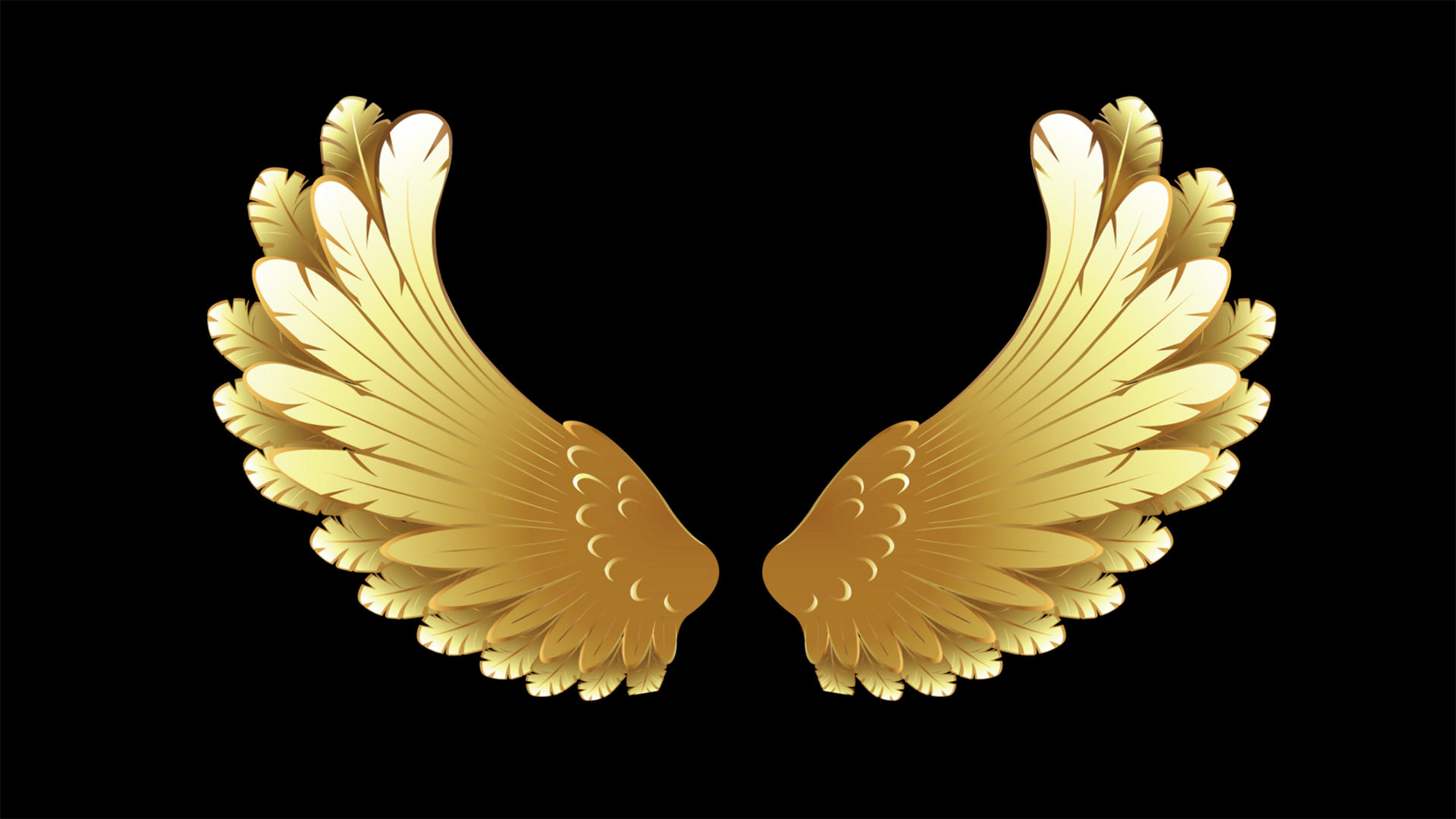 金翅膀动画元素带通道视频的预览图