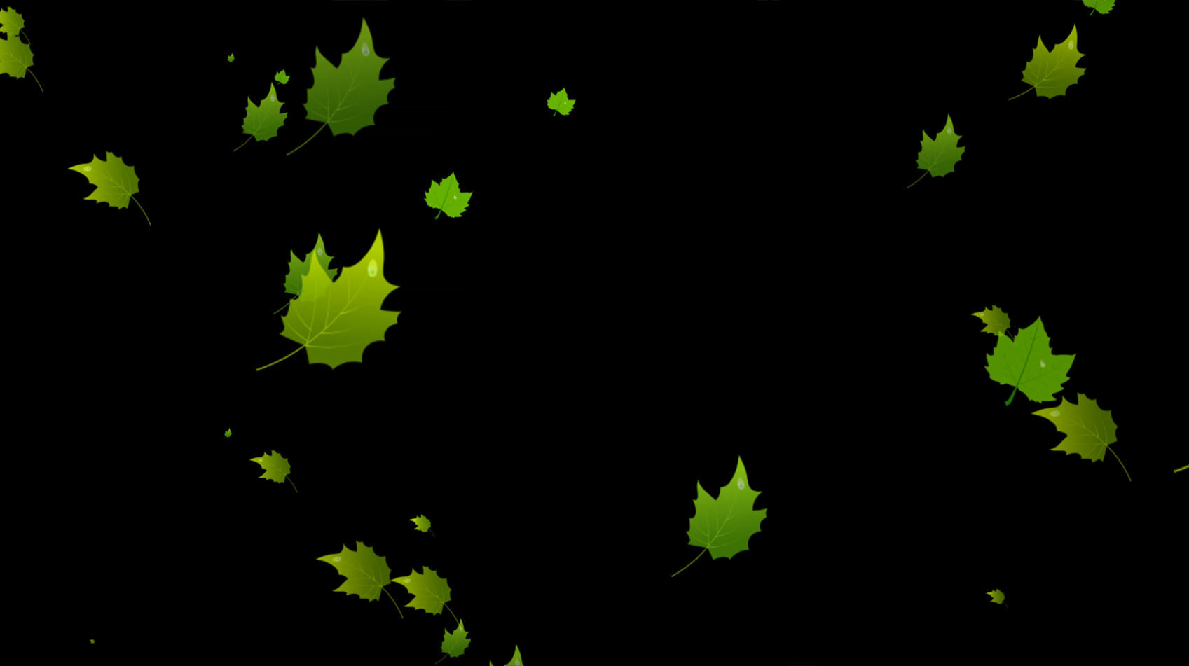 绿叶飘落元素带透明通道视频的预览图