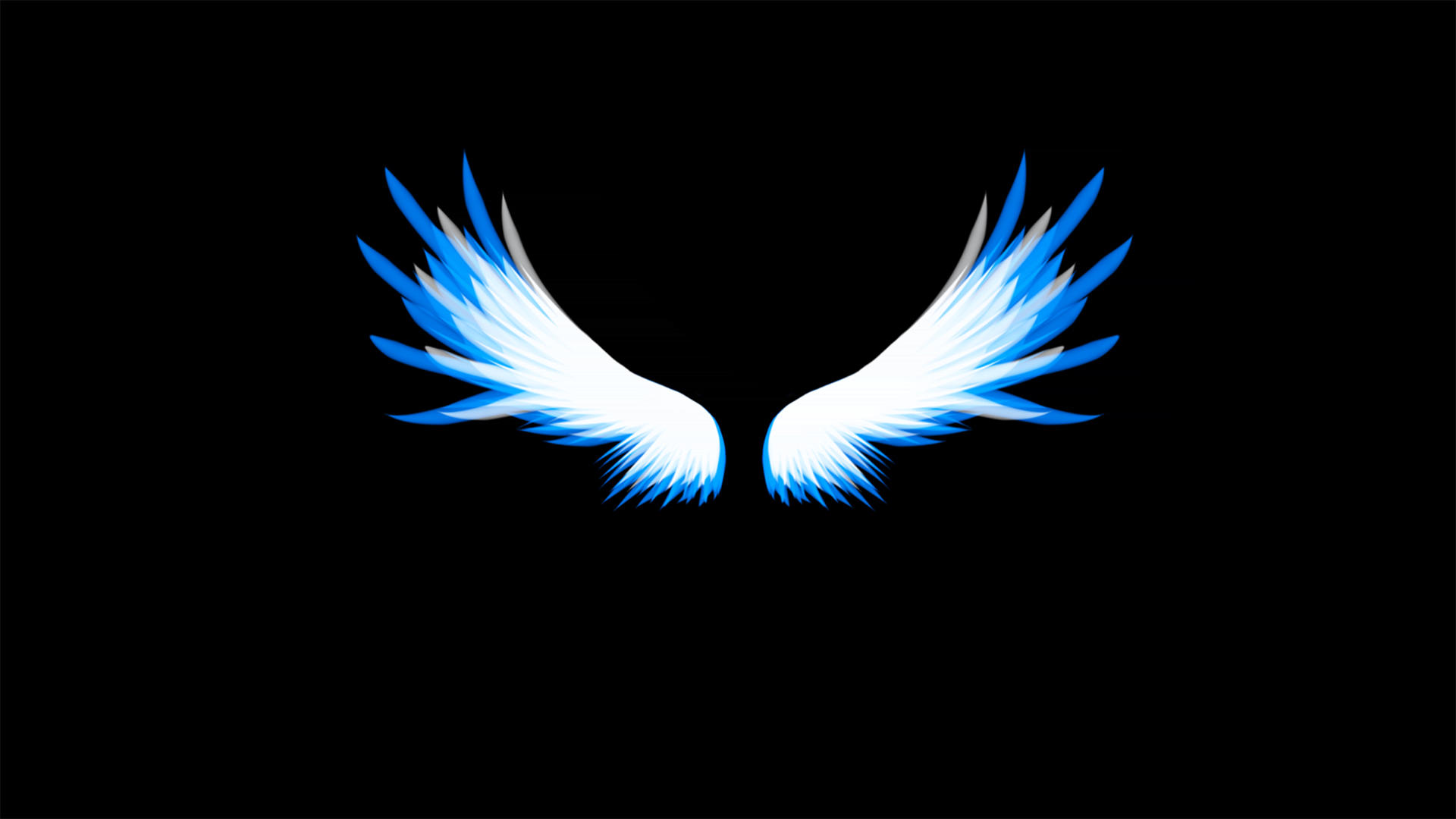 蓝色翅膀动画元素带通道视频的预览图