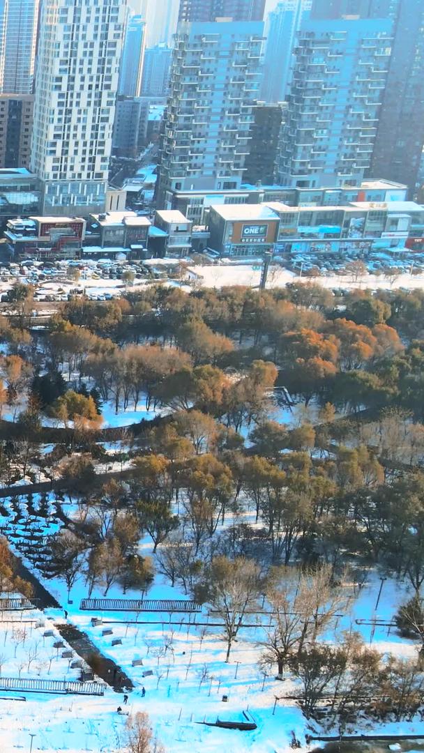 冬季大气航拍沈阳长白岛森林公园城市风格视频的预览图