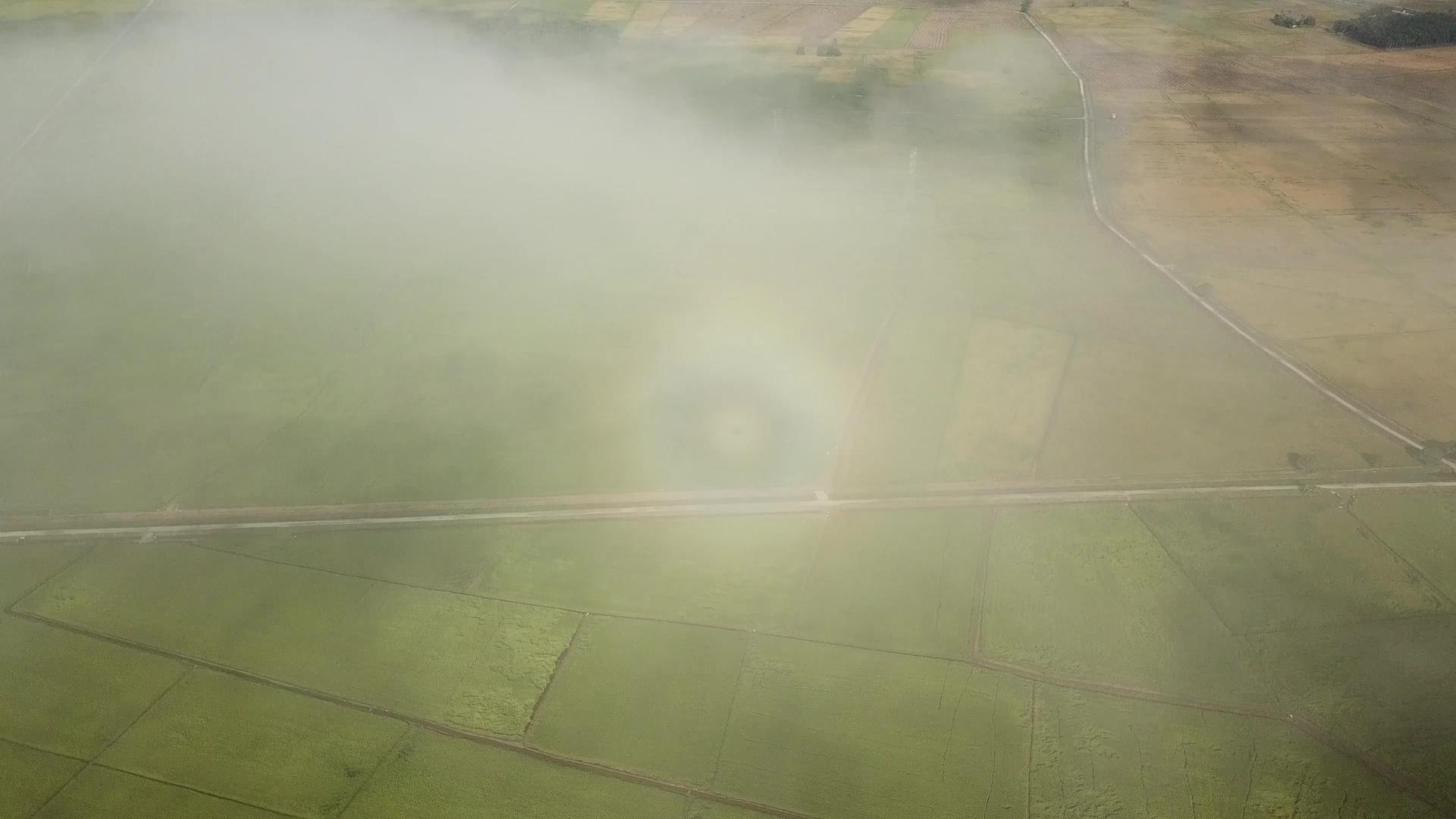 彩虹光环在绿地上视频的预览图