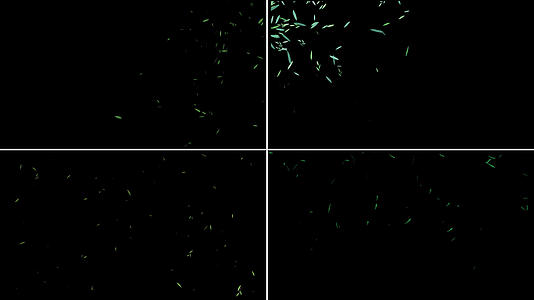 一组柳叶粒子漂浮动画视频的预览图