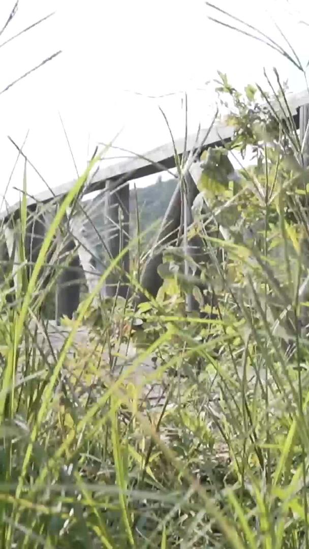 洞庭湖三季稻田视频的预览图