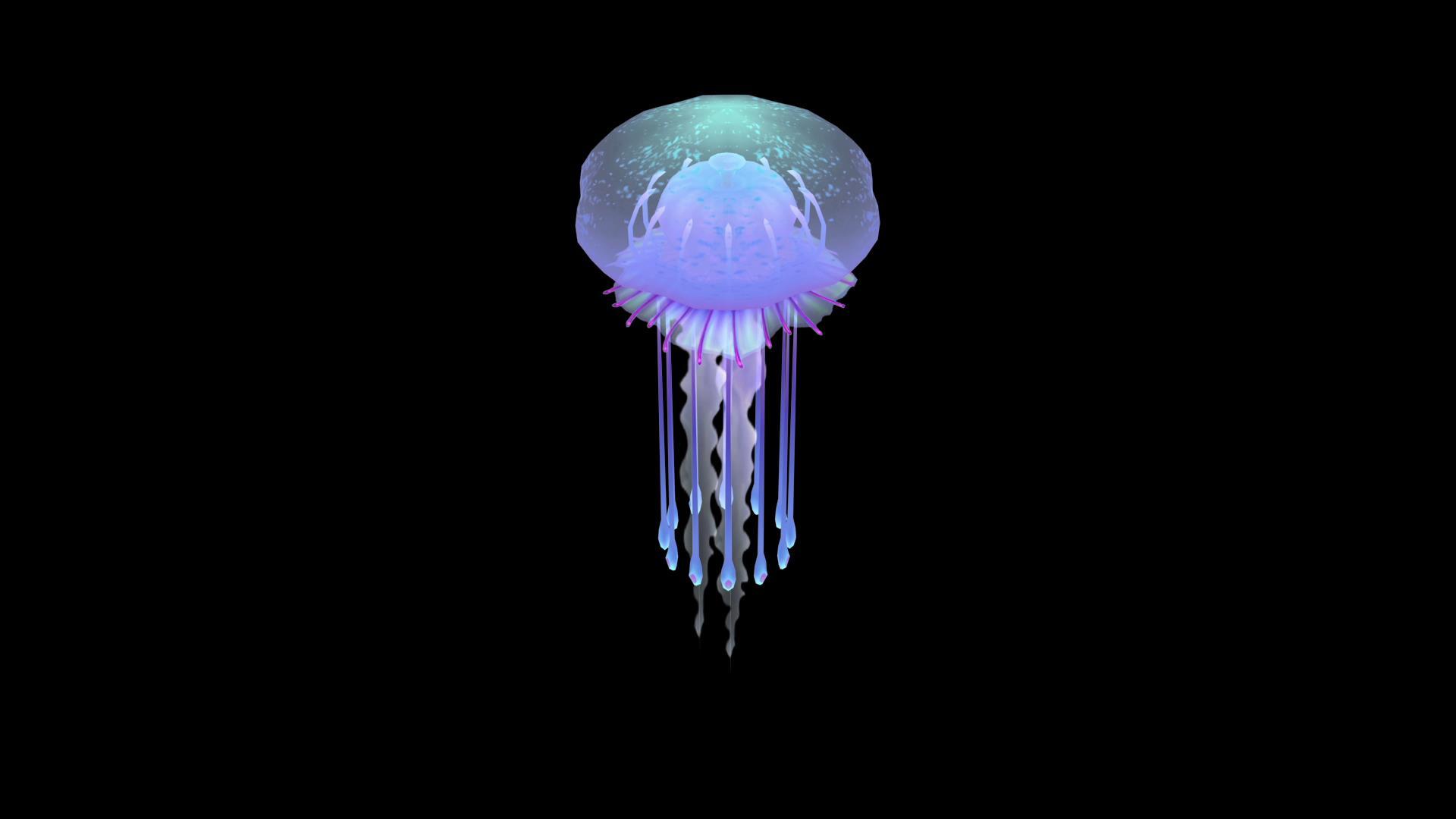 三维水母动画视频的预览图