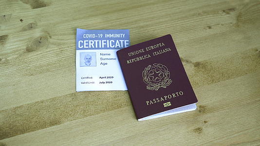 护照视频的预览图