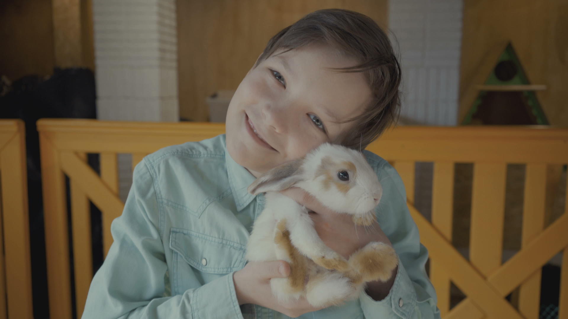 男孩把兔子握在农场的手里视频的预览图