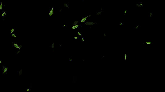 4K绿叶飘落动画元素带通道视频的预览图