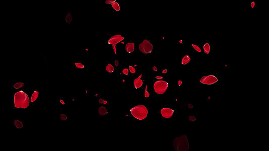 4k玫瑰花瓣天空飘落元素带通道视频的预览图