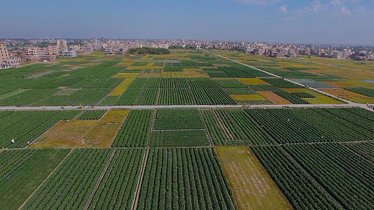 科学种植各种农业产品4K航拍视频的预览图