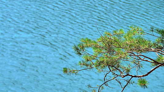 贝罗沃美丽的湖泊视频的预览图