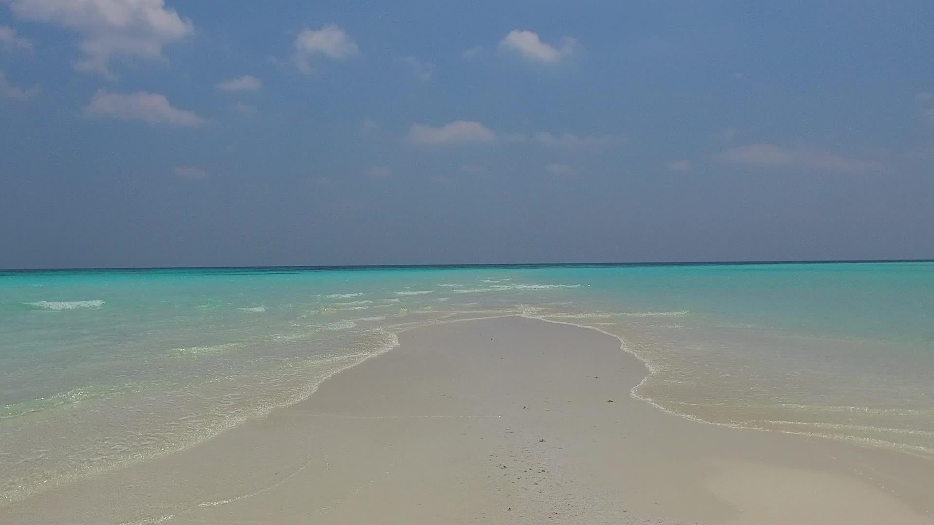 蓝海和沙滩视频的预览图