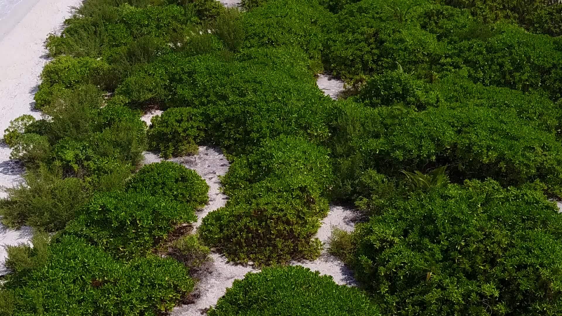沙巴海洋环礁湖附近的白色沙滩视频的预览图