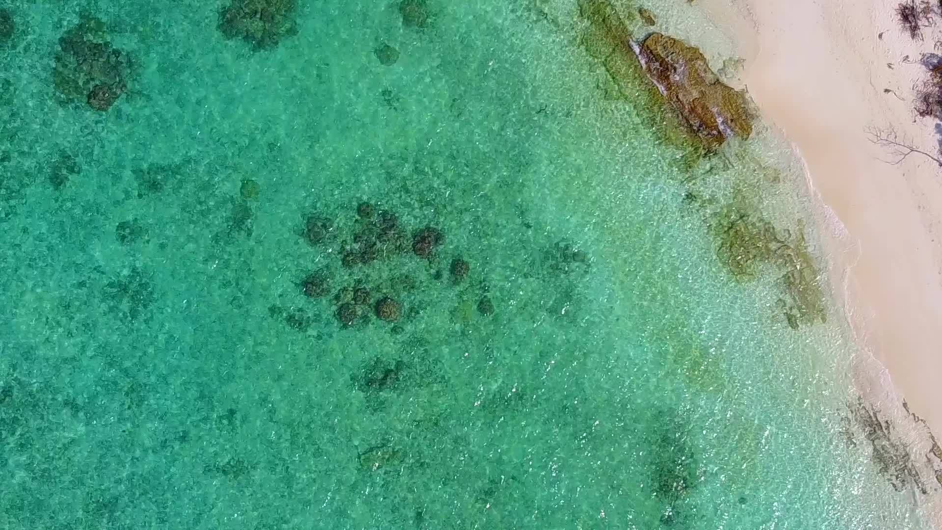 浅环礁湖视频的预览图