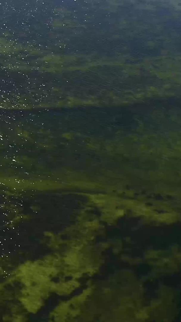 湖面上的光斑视频的预览图
