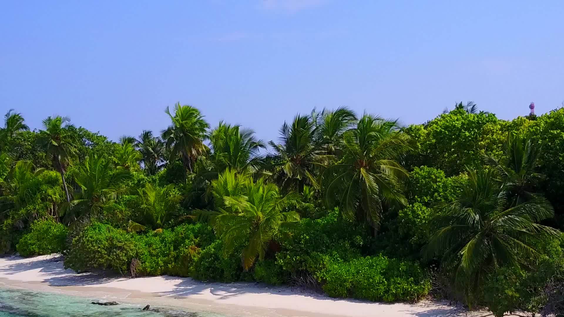 日出后干净的透明海洋和热带树木在干净的海滩旁边视频的预览图