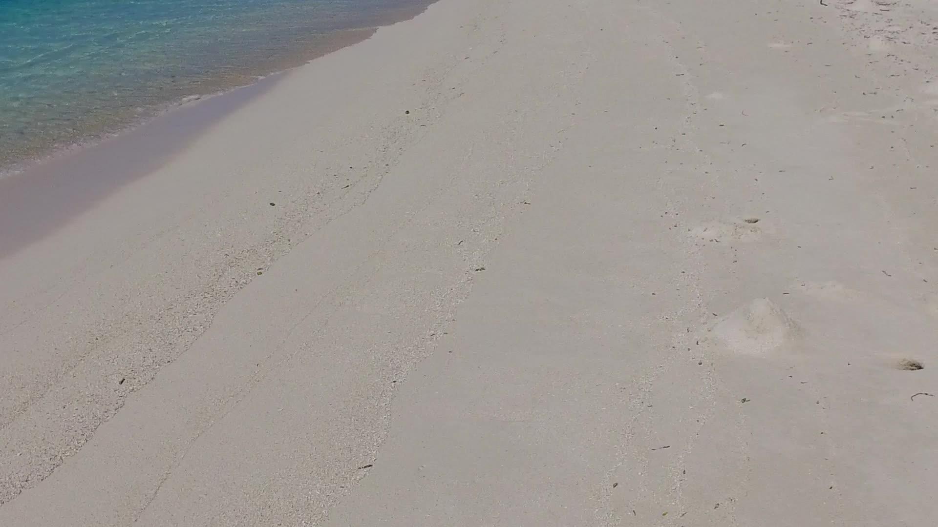 蓝海和明亮的海滩视频的预览图
