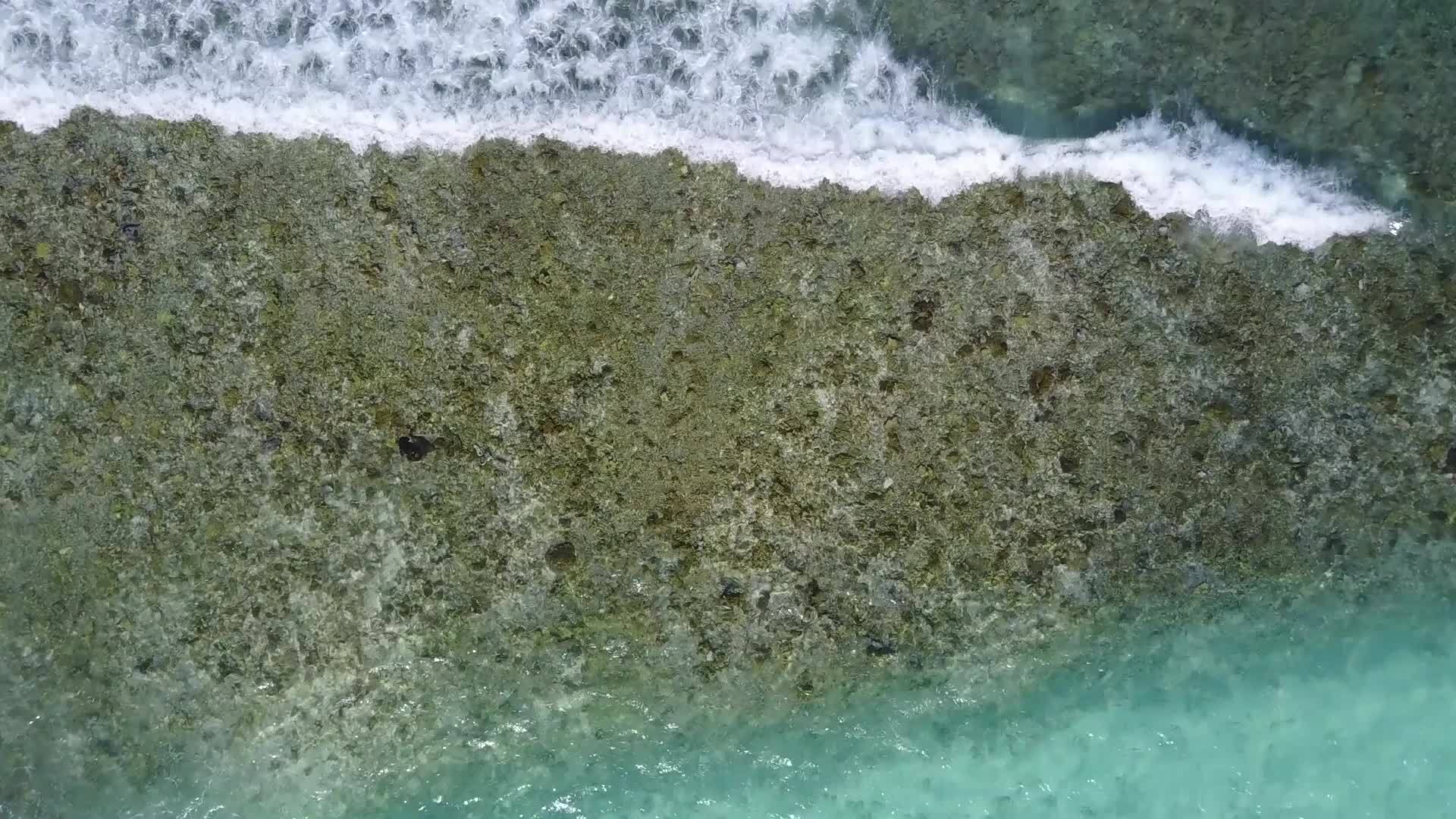 蓝色海洋和珊瑚礁附近的白色海滩视频的预览图
