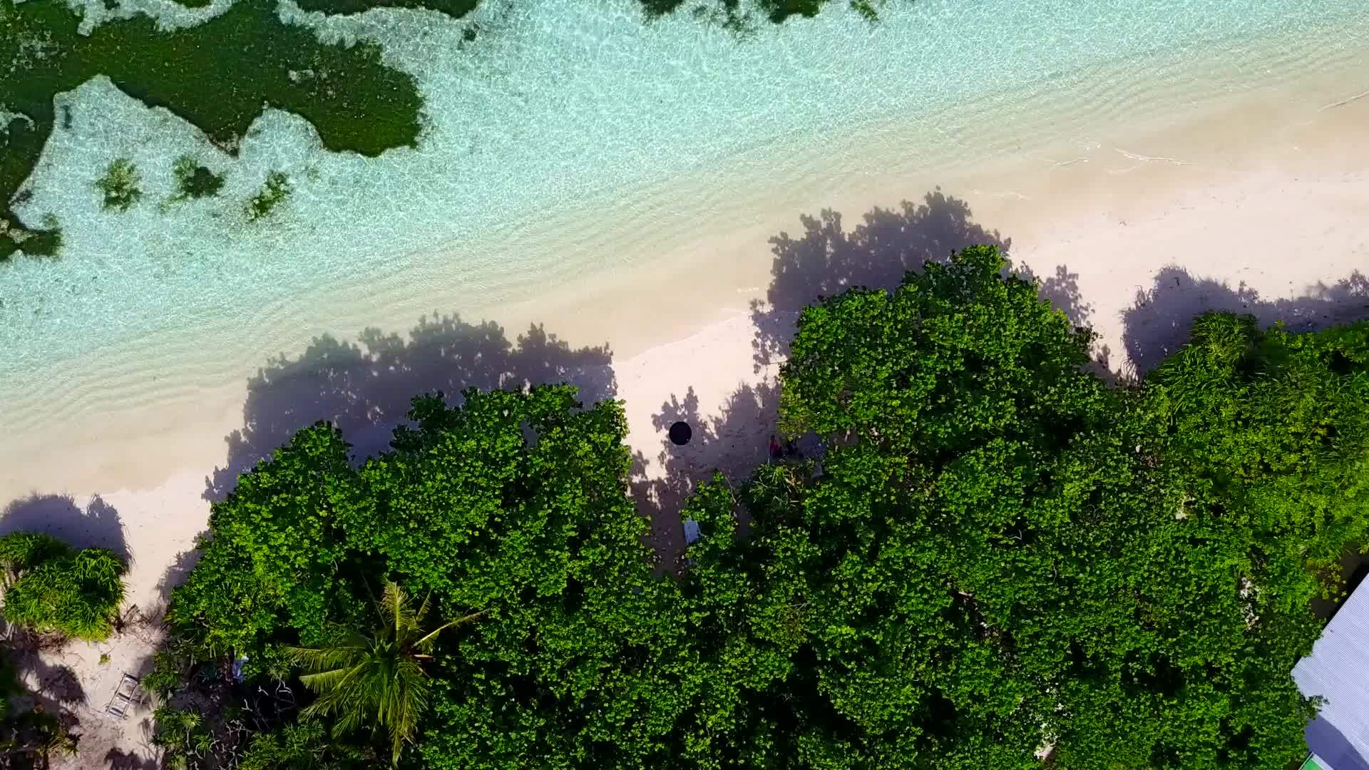 蓝海在沙巴附近视频的预览图