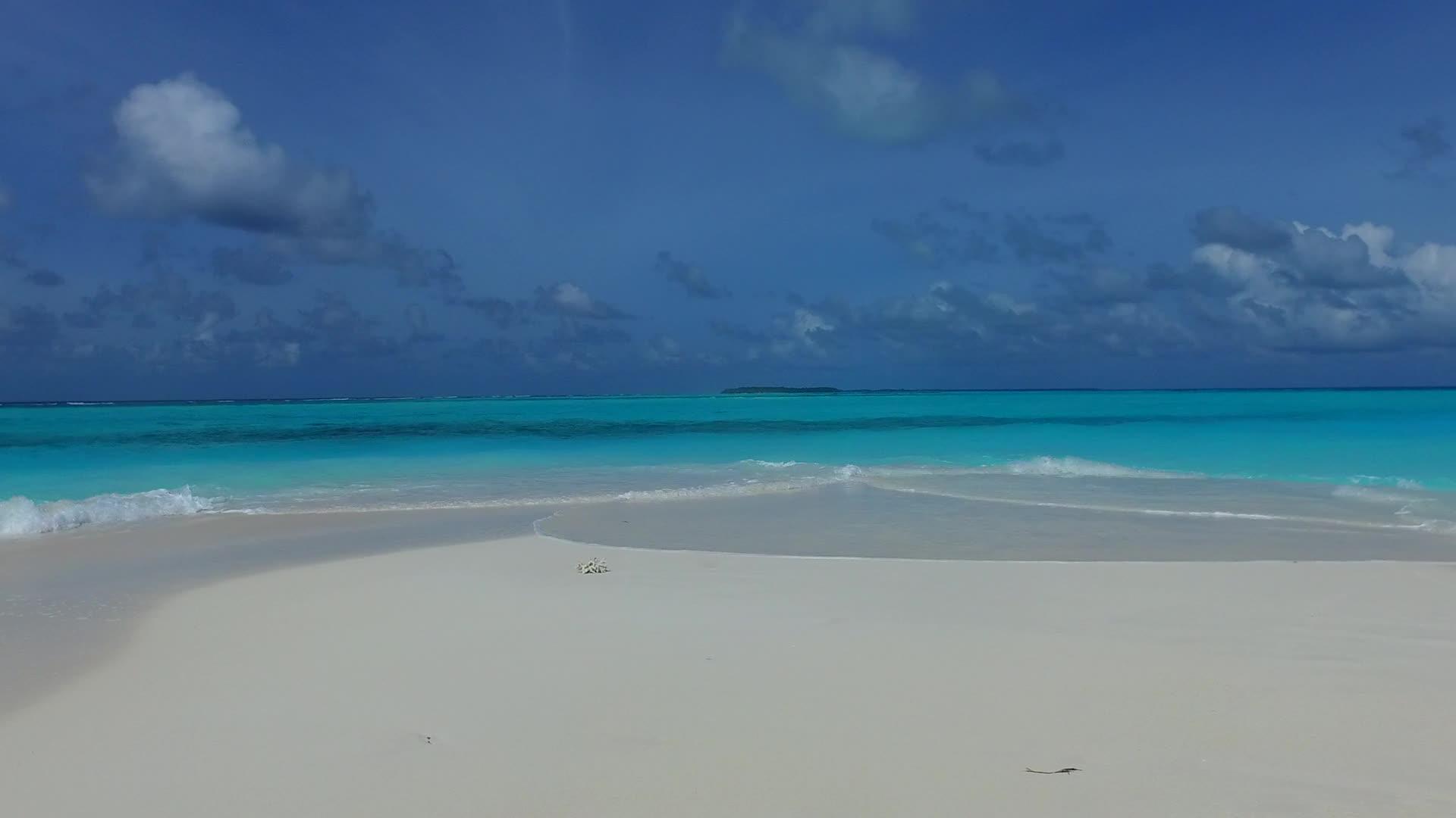 日出后以蓝环礁和白沙为背景的天堂海滩野生动物在白天抽象地采摘视频的预览图
