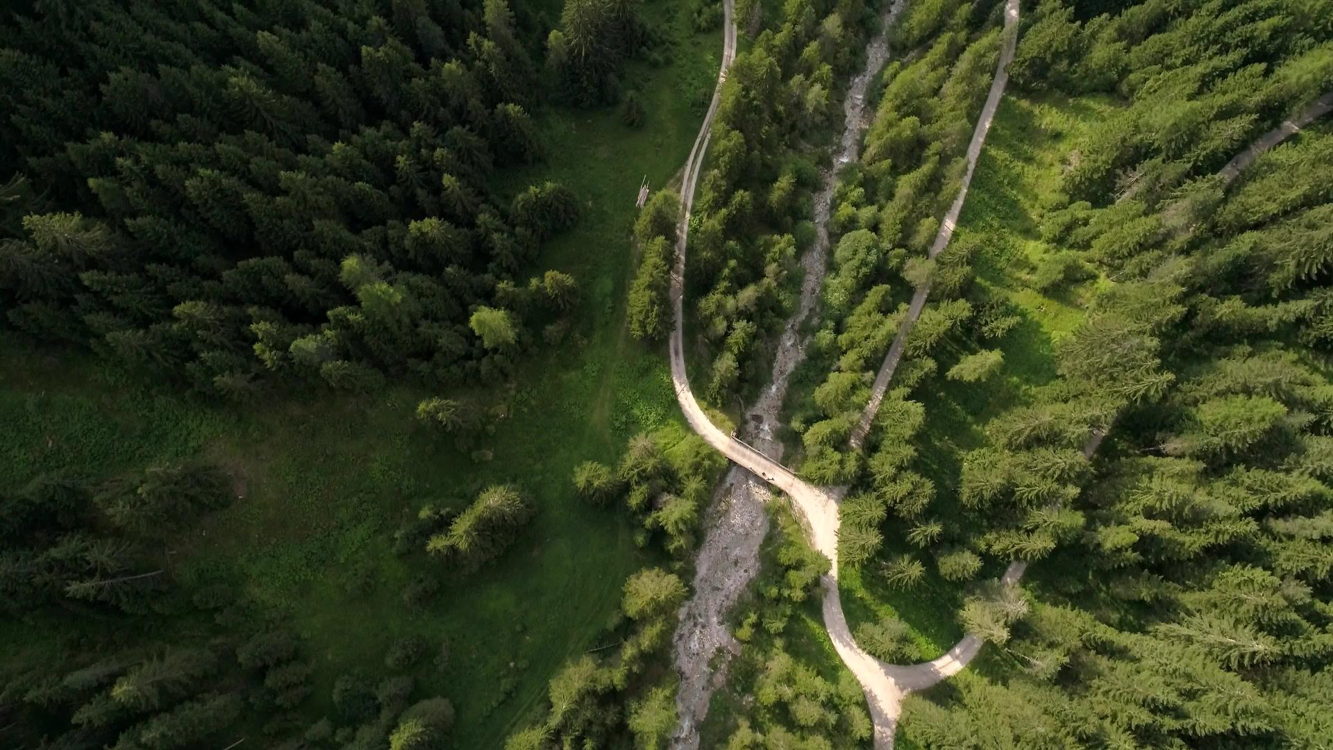从山顶的树上观察空中无人飞机Santamagdalena森林中的树木在意大利多洛米特阿尔卑斯山视频的预览图
