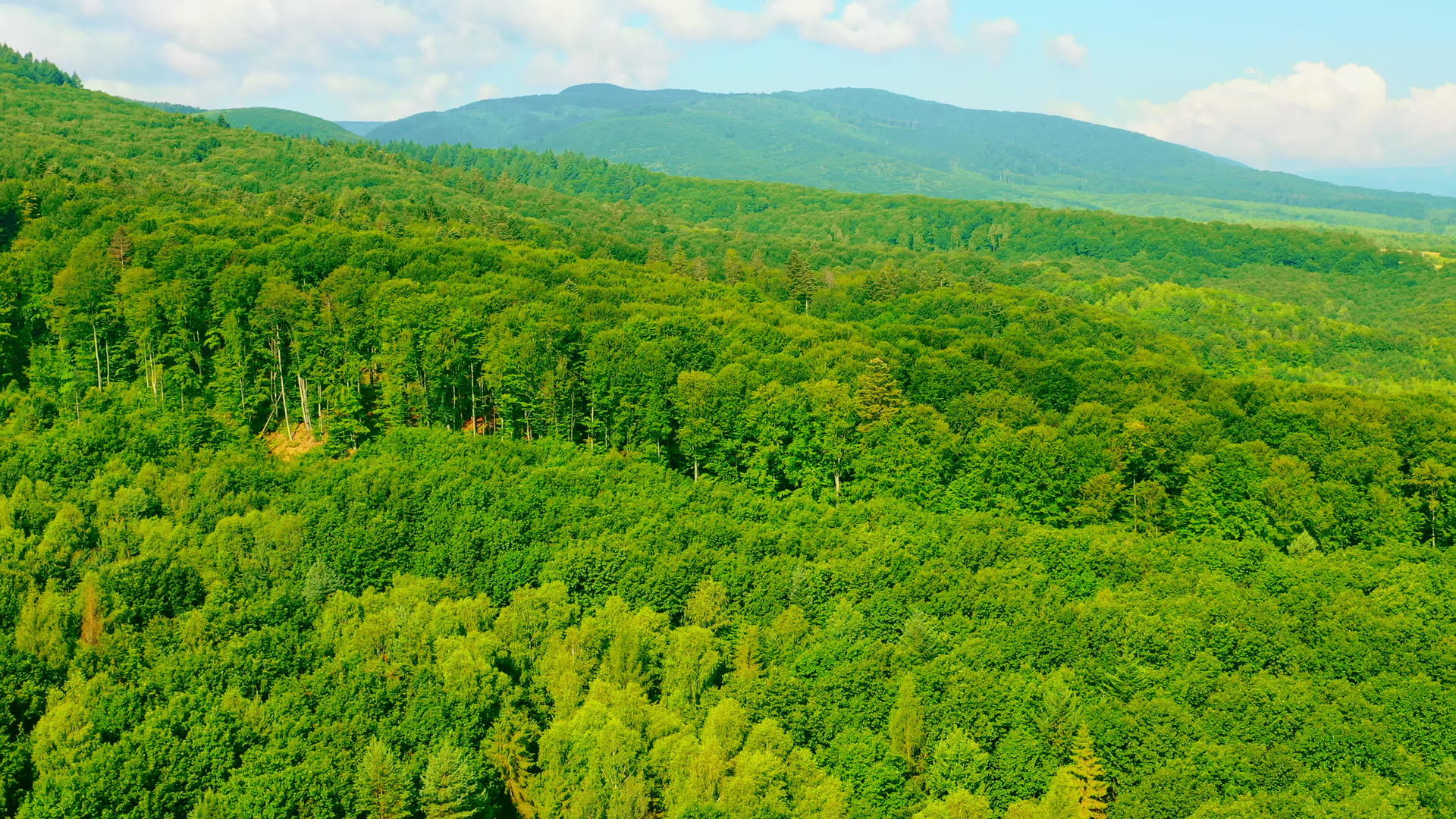 无人驾驶飞机在高地森林上空视频的预览图