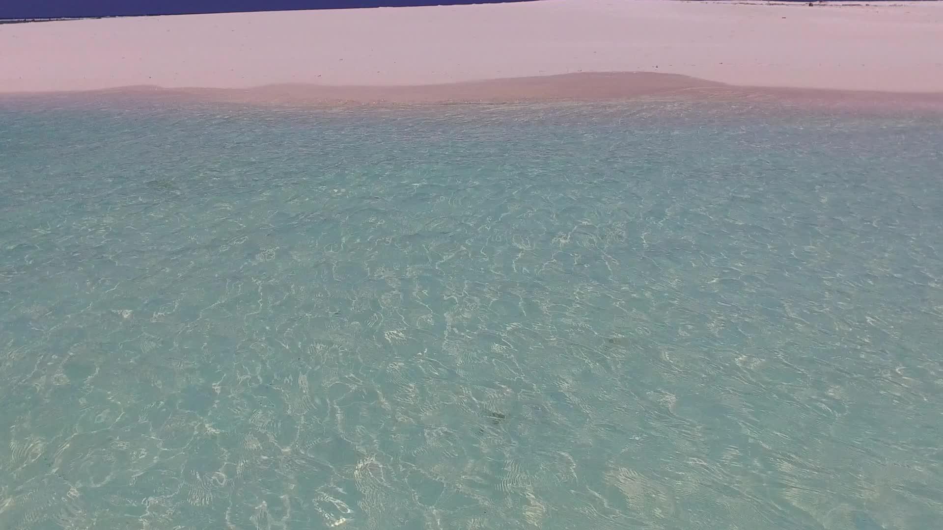 水蓝色洋和白色沙滩附近的棕榈视频的预览图