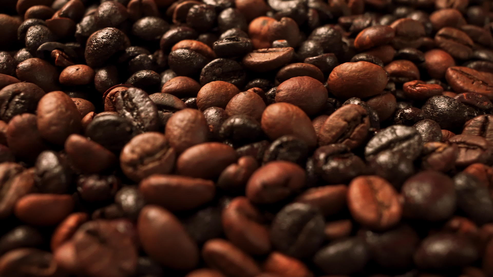 种子咖啡的顶部视图视频的预览图