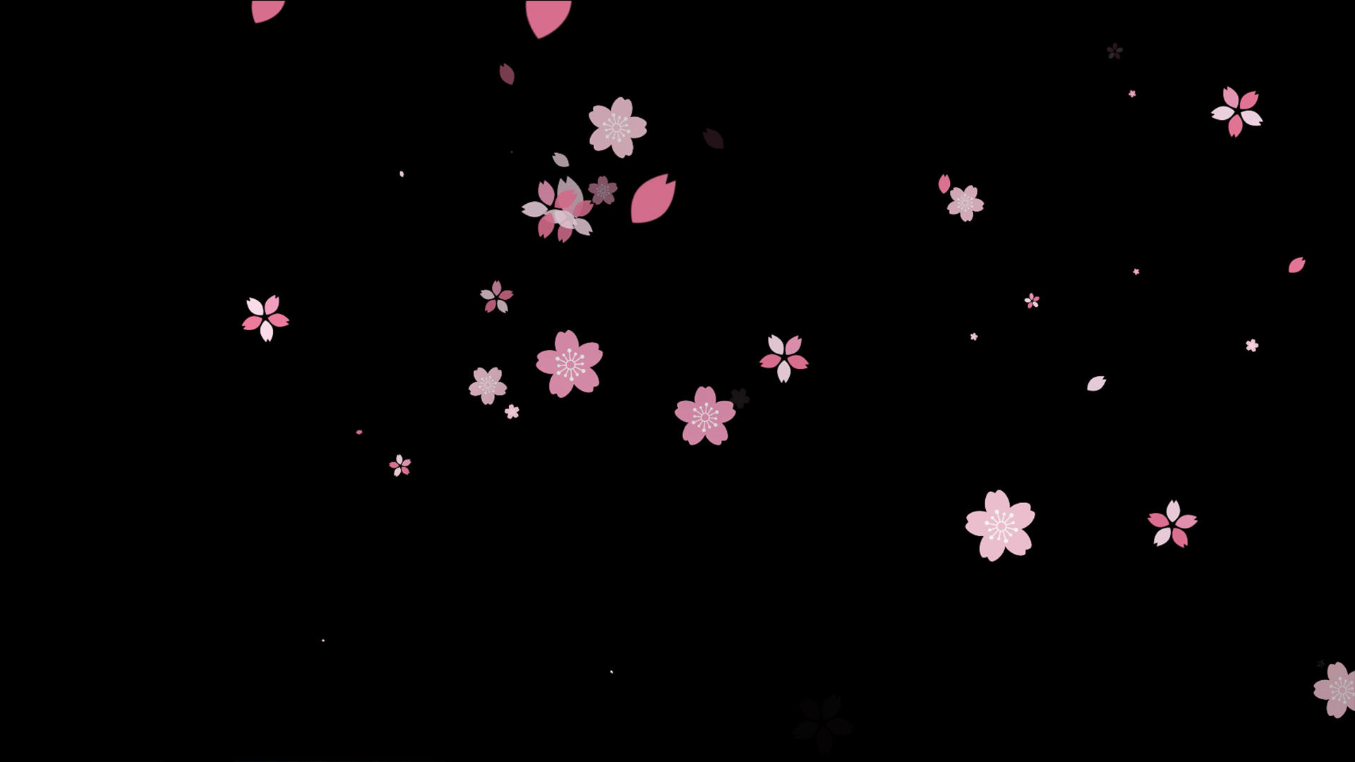 4K粉色花飘落元素带通道视频的预览图