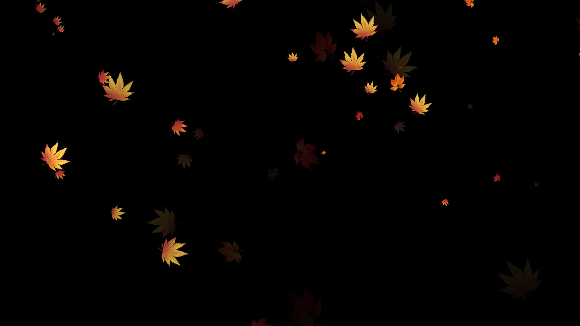 4K枫叶飘落元素带透明通道视频的预览图