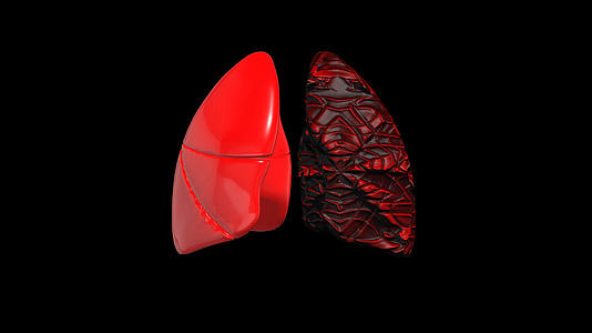 4K人体肺部动画元素带透明度通道视频的预览图
