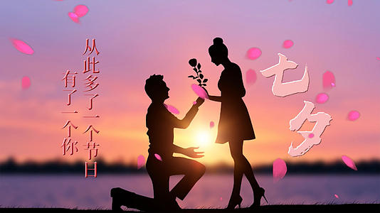 温馨浪漫七夕情人节pr模板视频的预览图