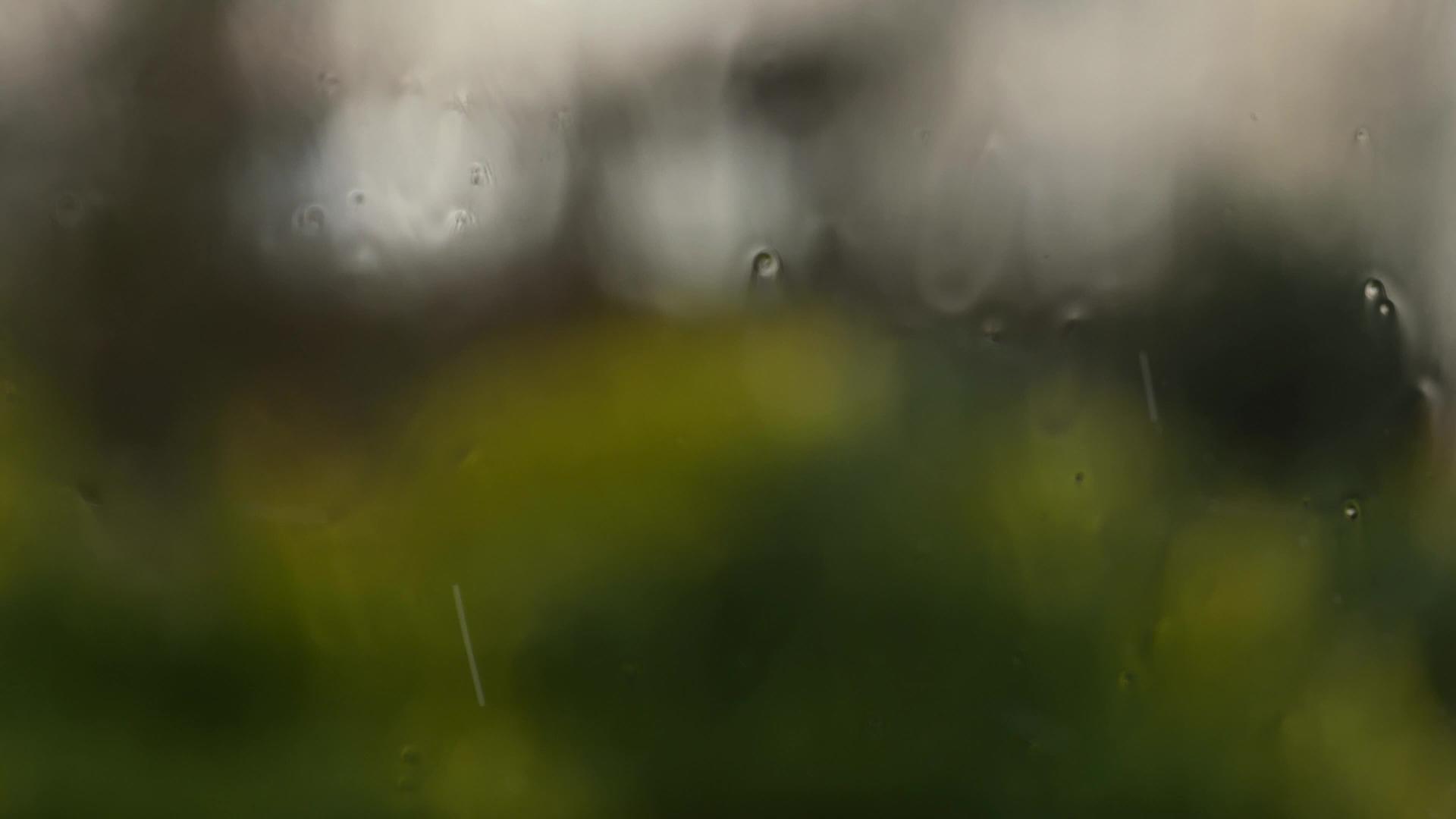 暴风雨与家门窗对抗视频的预览图