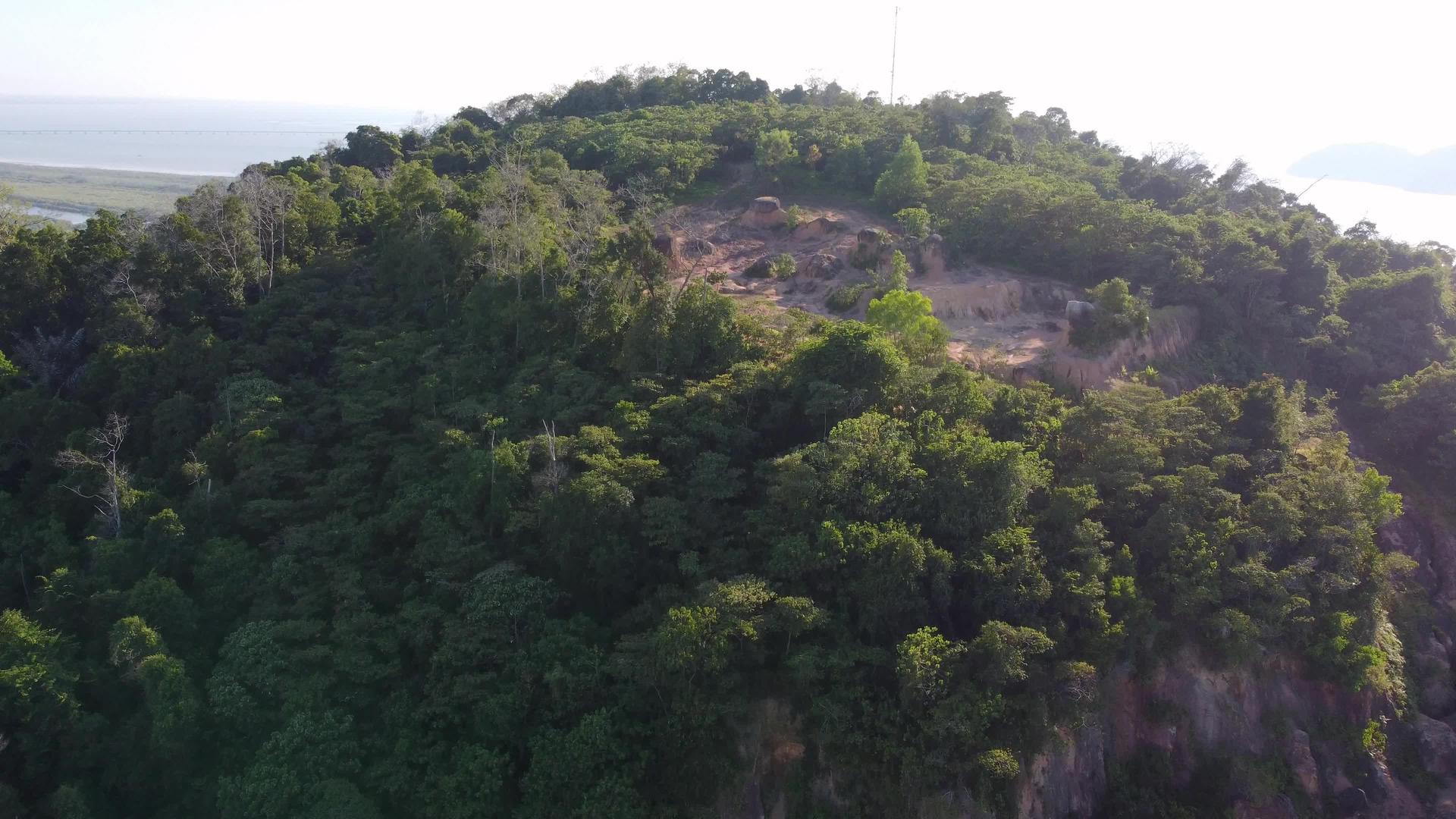 山丘丛林砍伐森林视频的预览图