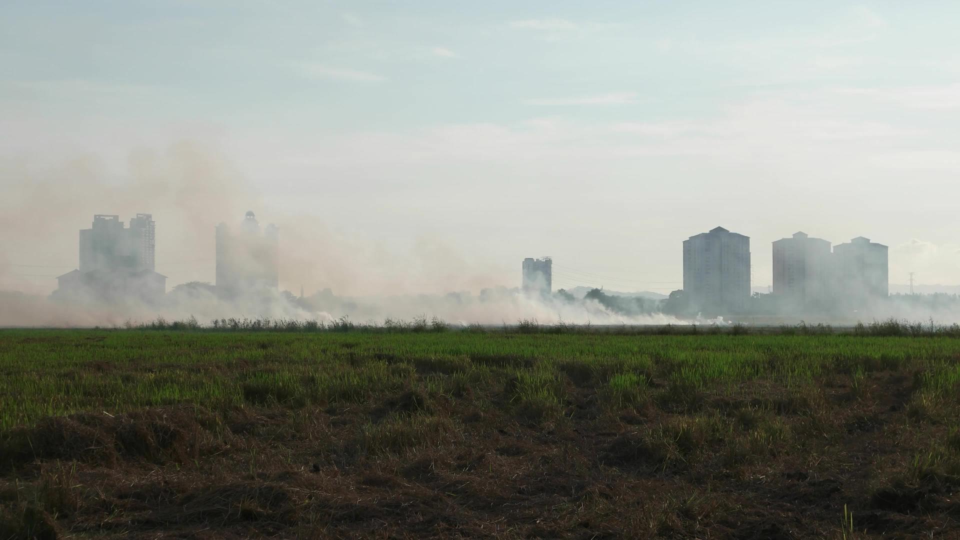 在农村一侧露天燃烧视频的预览图