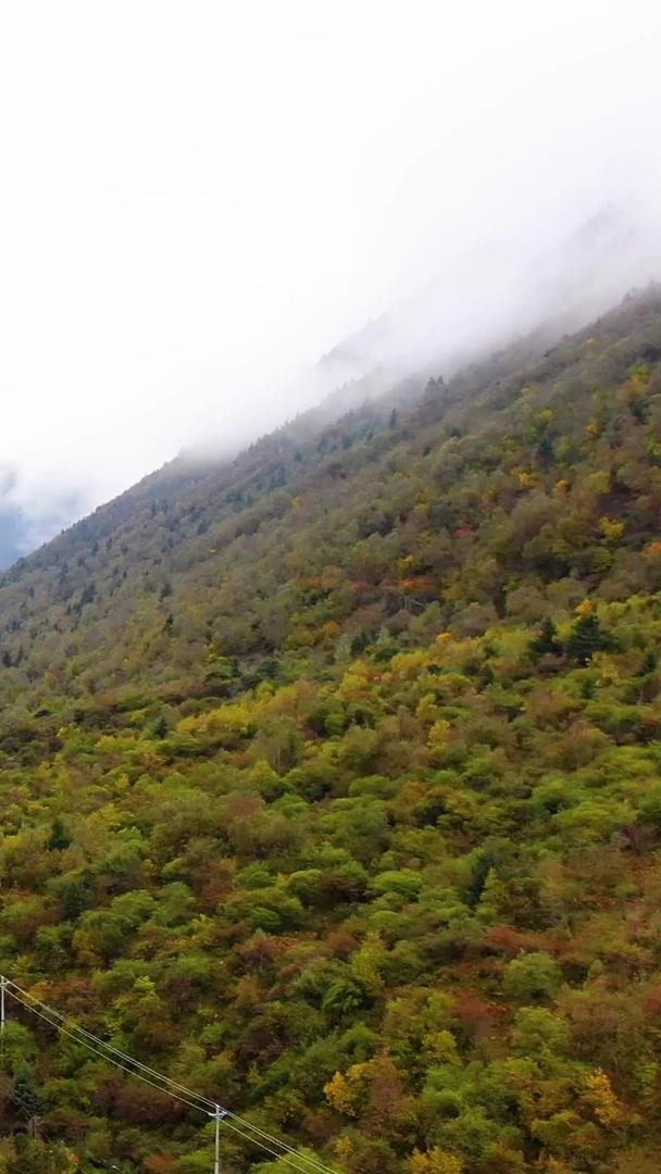 蜿蜒的川西高原山谷公路航拍视频视频的预览图