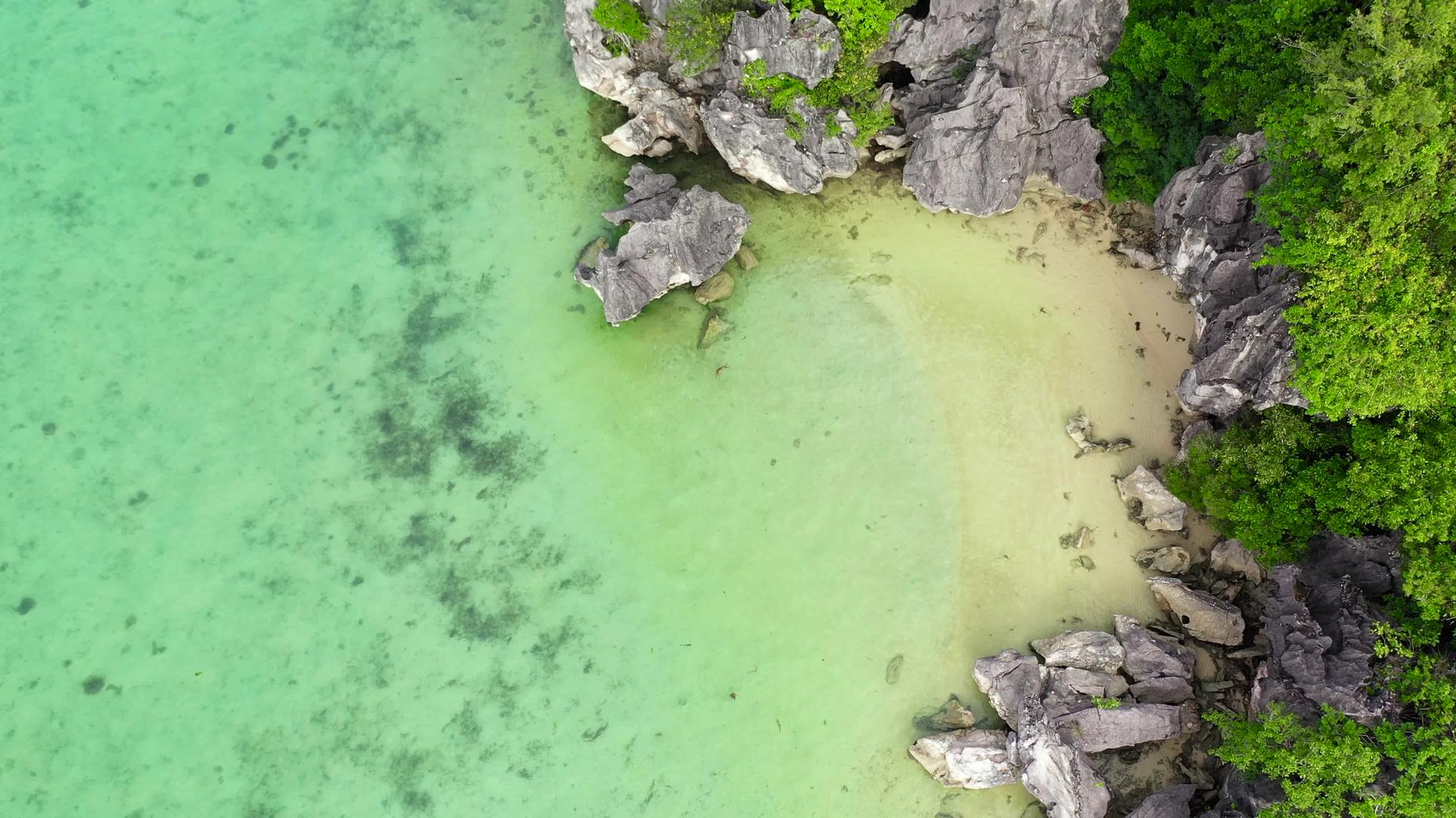 石头和热带海滩视频的预览图