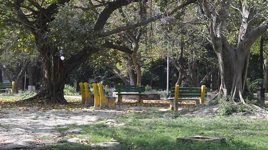 秋天公园长椅在树荫下在公园风景中夏季环境背景视频的预览图
