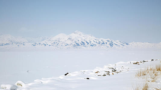 冬日新疆5A景区赛里木湖雪景视频的预览图