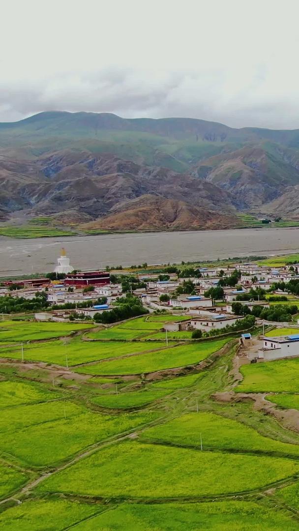 西藏传统藏式村落田园风光视频视频的预览图