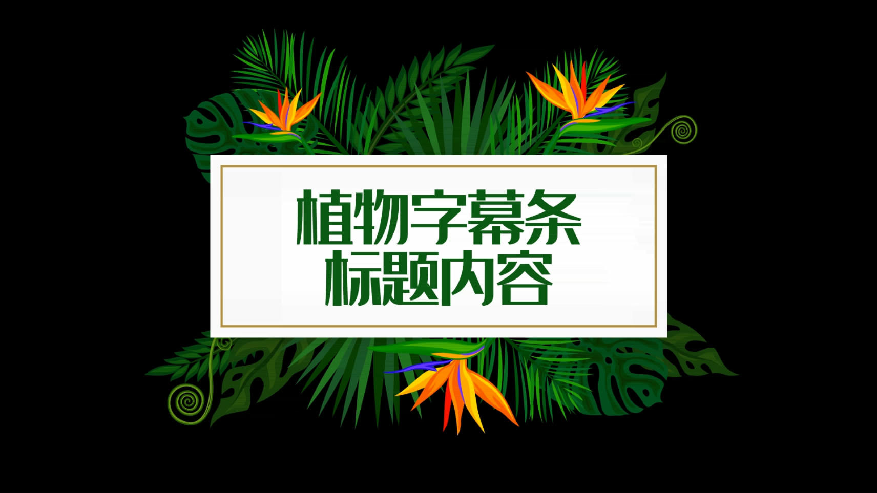 植物生长字幕条视频素材视频的预览图
