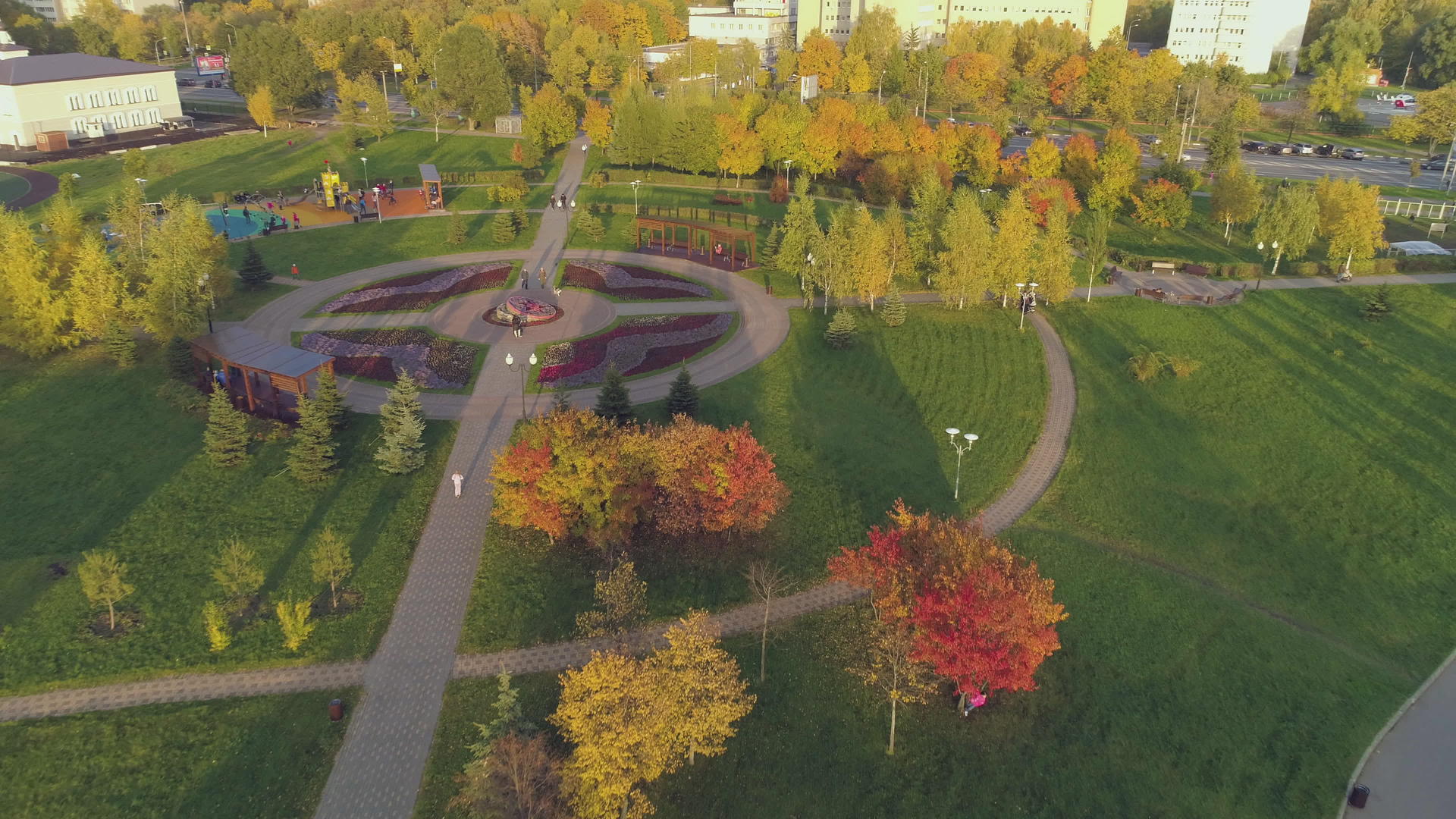 秋天在城市公园的彩树上飞翔视频的预览图