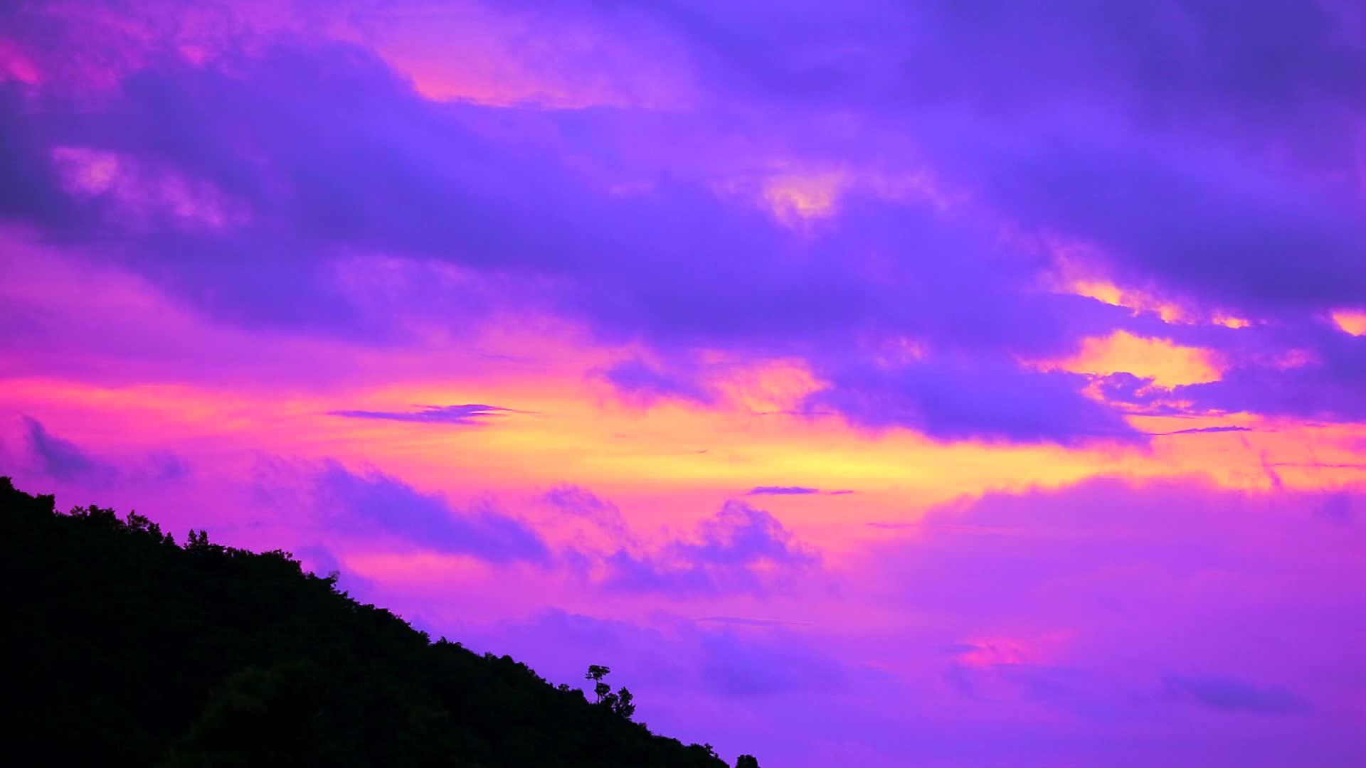 紫云移动视频的预览图