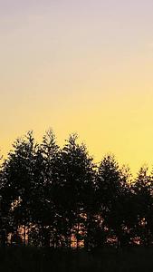 日出太阳从树林后面慢慢升起视频的预览图