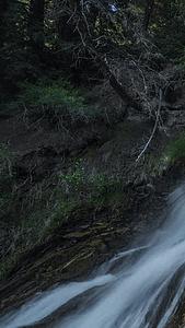 延时壮观溪流森林视频的预览图