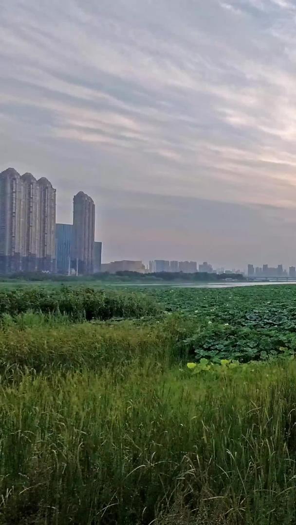武汉沙湖日落风光高清延时视频视频的预览图