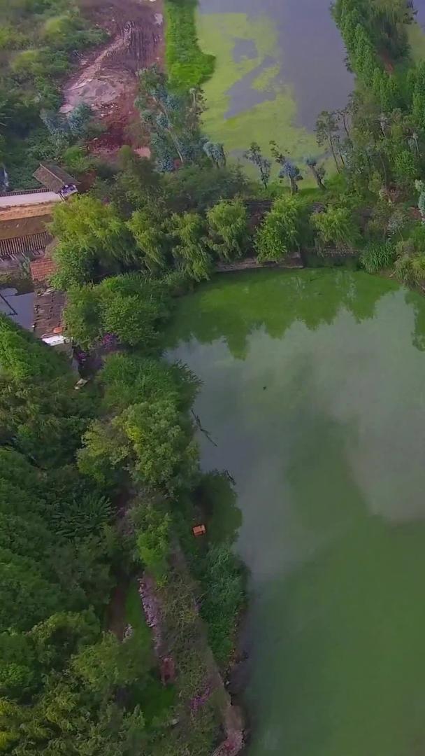 城市湖泊雨林中航行的快艇航拍视频的预览图