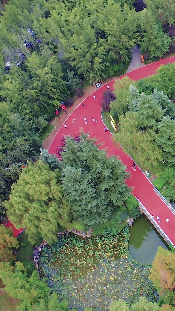 公园健身航拍视频的预览图