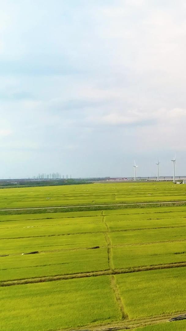 海边稻田风车航拍风景视频的预览图