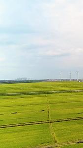 海边稻田风车航拍风景视频的预览图